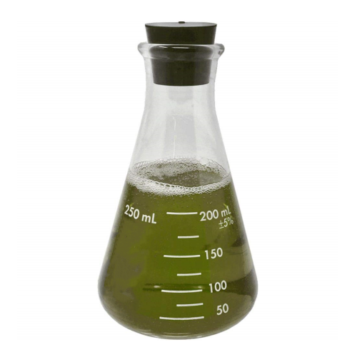 Inverted Conical Flask