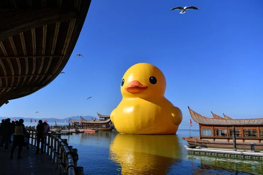 Stainless Steel Reactor | Shaanxi Achieve chem-tech Stainless Steel Reactor | Shaanxi Achieve chem-tech