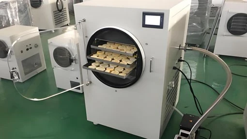 Small Freeze Dryer For Home Use | Shaanxi Achieve chem-tech Small Freeze Dryer For Home Use | Shaanxi Achieve chem-tech