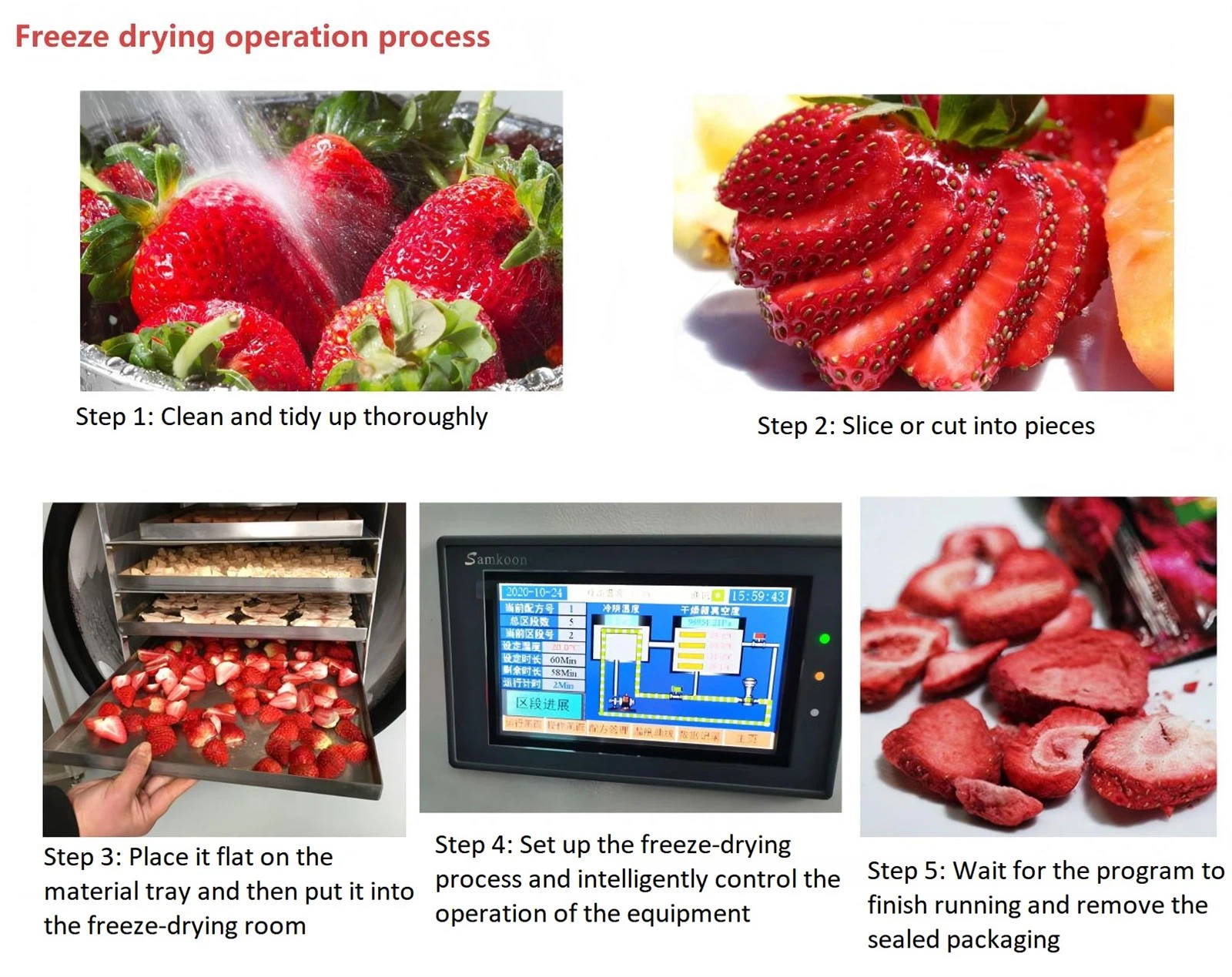 Home freeze dryer 2 Home freeze dryer 2