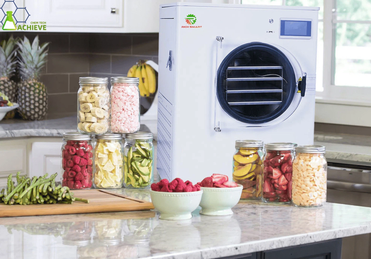 Home freeze dryer 1 Home freeze dryer 1