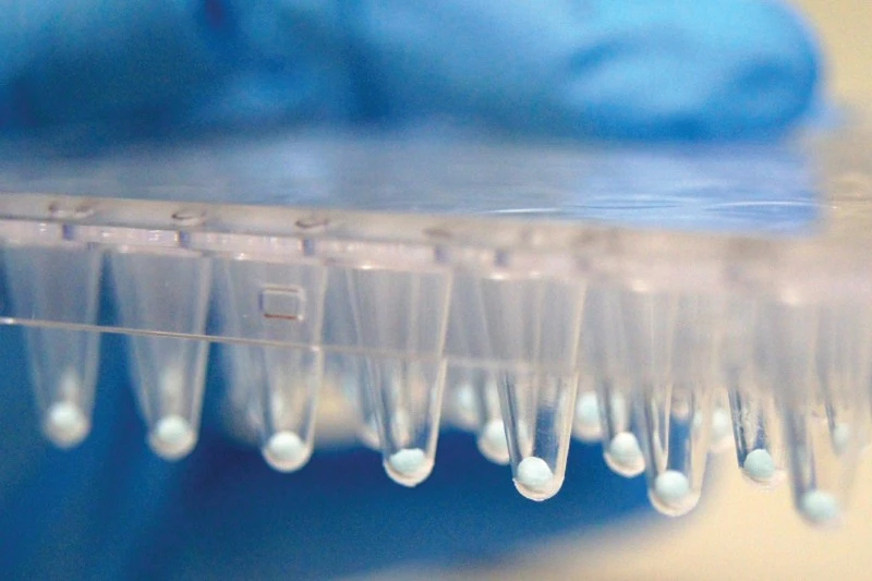 Industrial Freeze Dryer Applications | Shaanxi Achieve chem-tech Industrial Freeze Dryer Applications | Shaanxi Achieve chem-tech